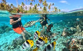 Hutiarii House & Car & Excursions Raiatea
