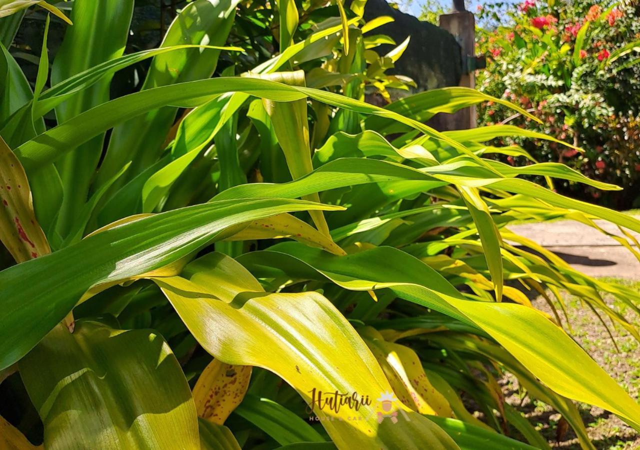 Villa Hutiarii House & Car & Excursions Raiatea à Tevaitoa Extérieur photo
